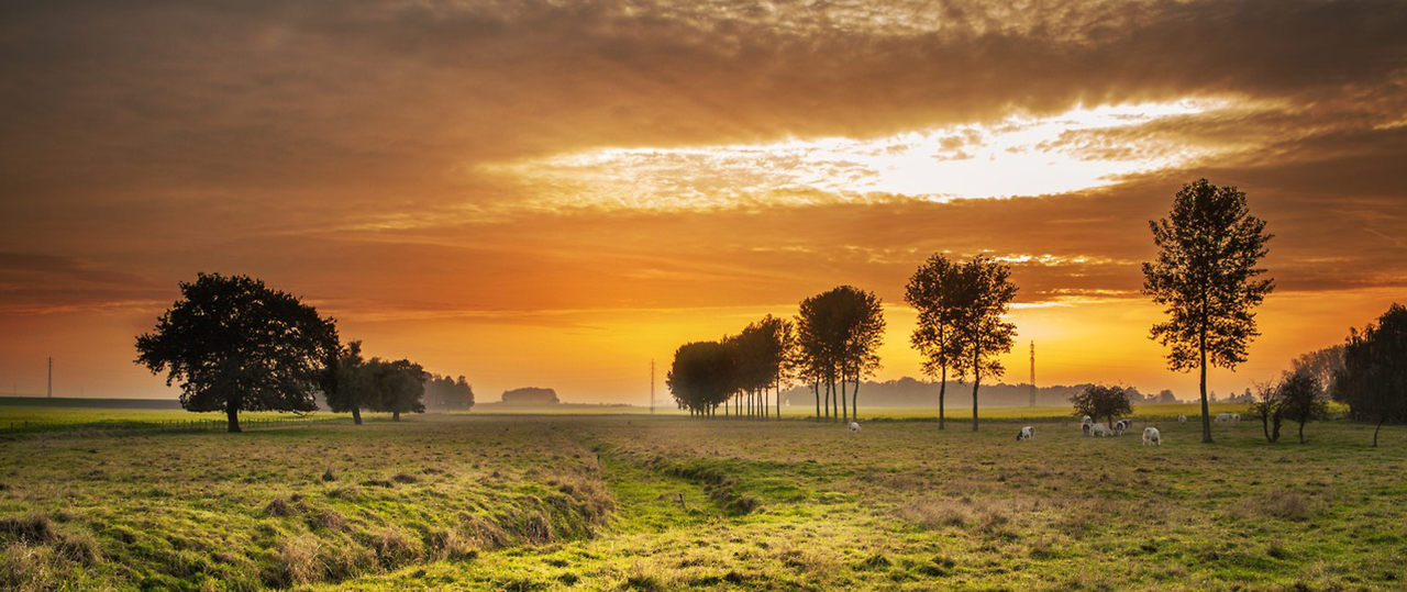 在线手机号轰炸网页版