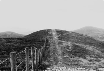 手机号轰在线轰炸